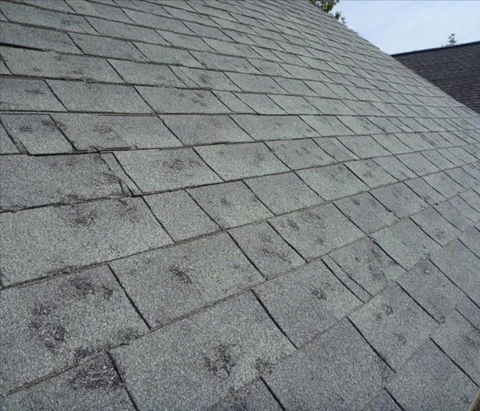gray roof shingles